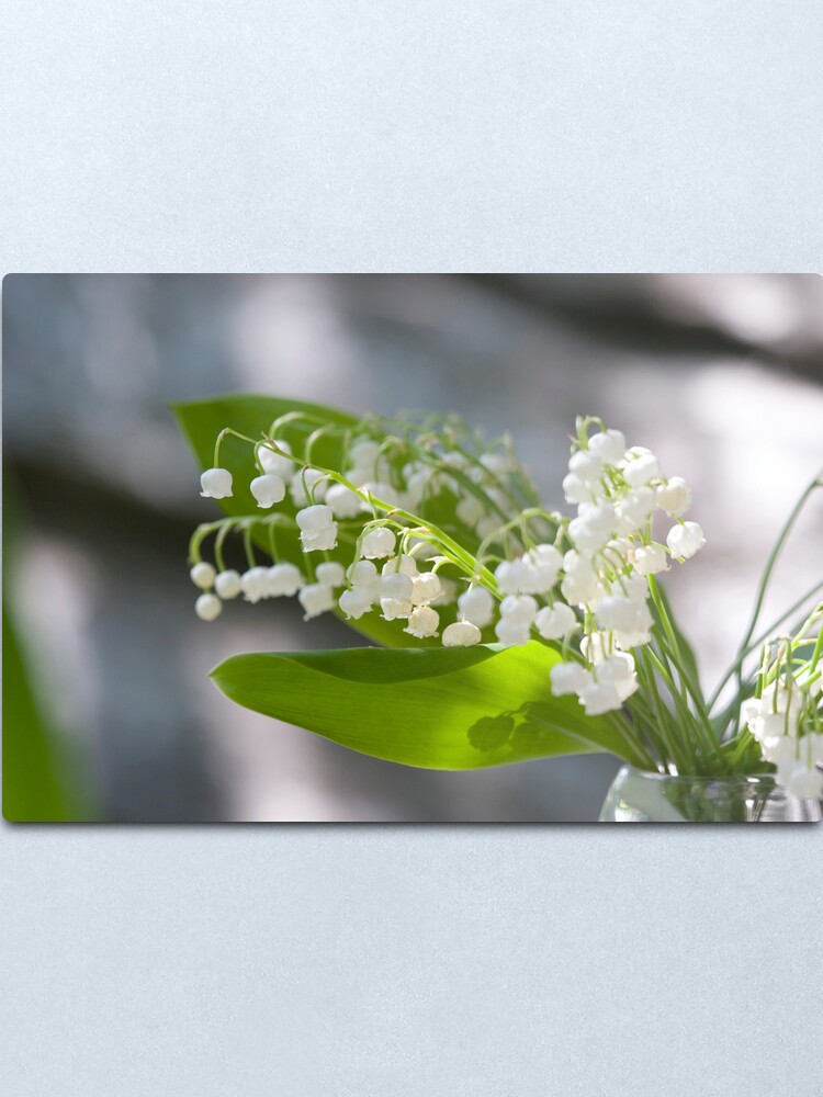 Alternate view of Lily of the valley Metal Print