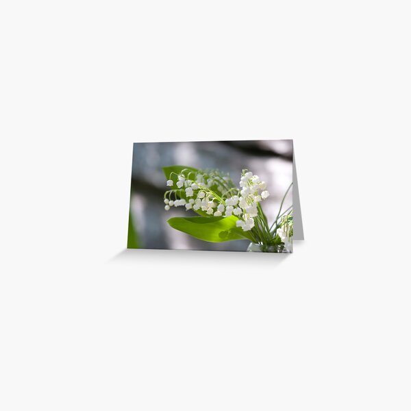Lily of the valley Greeting Card