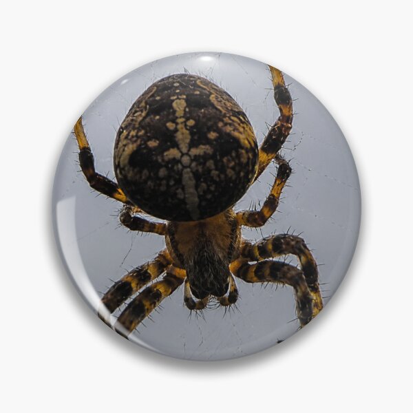 Item preview, Orb-weaving spider designed and sold by Astute-Artio-Photography.