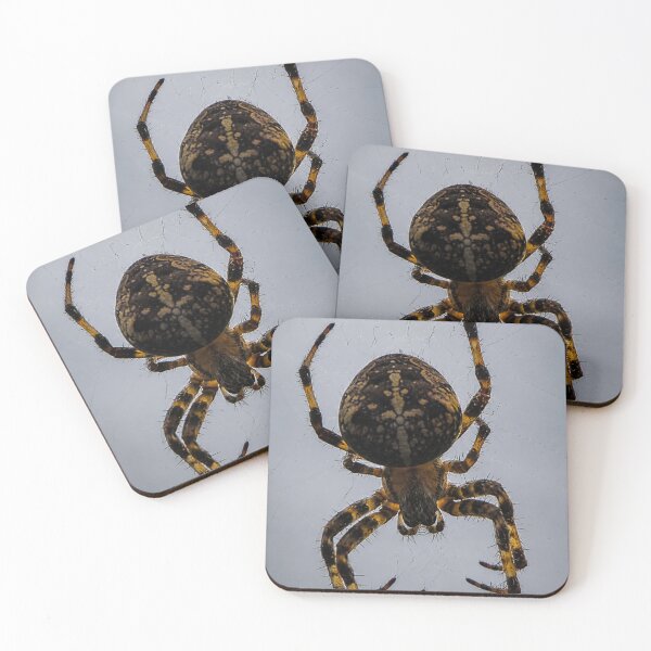 Item preview, Orb-weaving spider designed and sold by Astute-Artio-Photography.