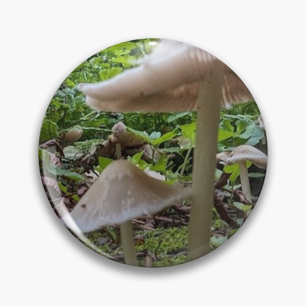 Item preview, Mushroom Forest designed and sold by Nature's Third Acre.