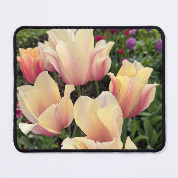 Item preview, Tulips at Wawel Royal Castle - Krakow, Poland designed and sold by generalbonkers.