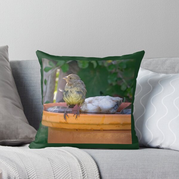 Item preview, Lesser Goldfinch After Bathing designed and sold by CarolM.