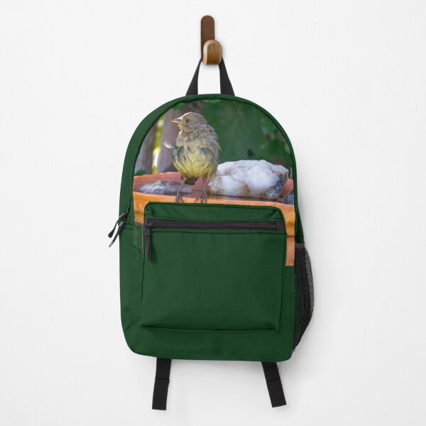 Item preview, Lesser Goldfinch After Bathing designed and sold by CarolM.
