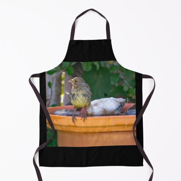 Item preview, Lesser Goldfinch After Bathing designed and sold by CarolM.