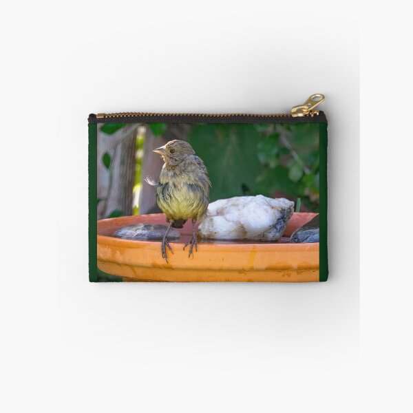 Item preview, Lesser Goldfinch After Bathing designed and sold by CarolM.