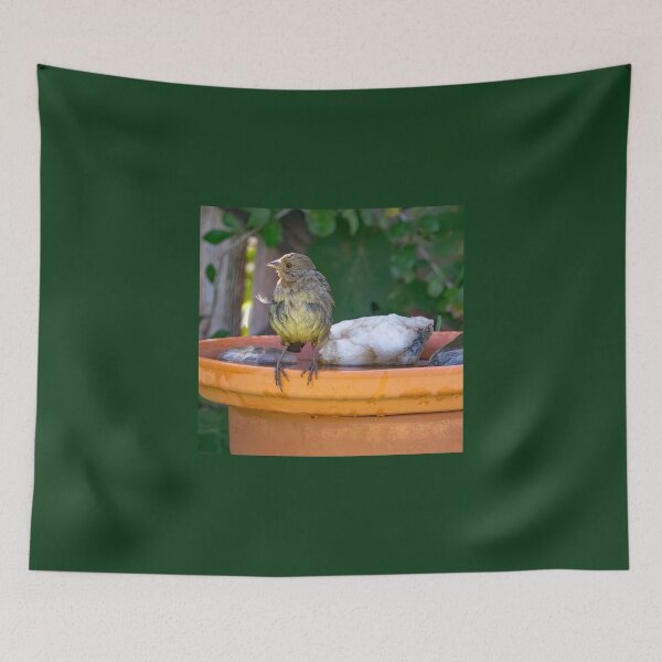 Item preview, Lesser Goldfinch After Bathing designed and sold by CarolM.