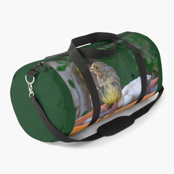 Item preview, Lesser Goldfinch After Bathing designed and sold by CarolM.