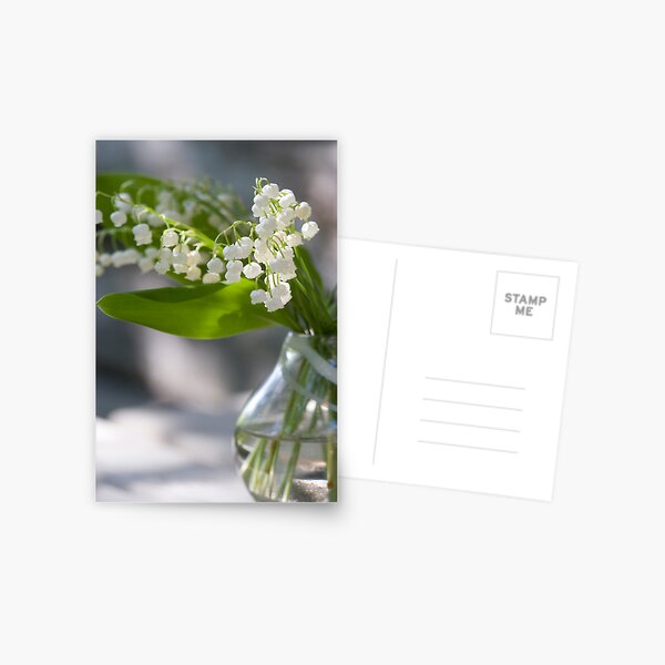 Lily of the valley Postcard