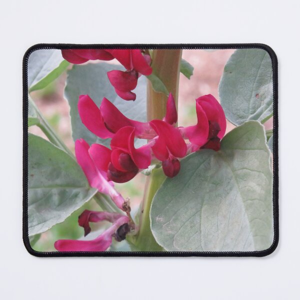 Item preview, Red broad bean flowers designed and sold by greentiger1.