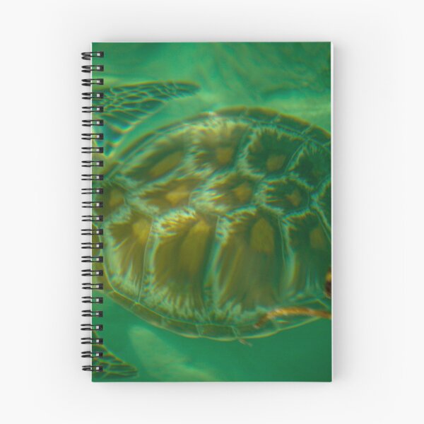 Item preview, Green Sea Turtle  designed and sold by D-GaP.