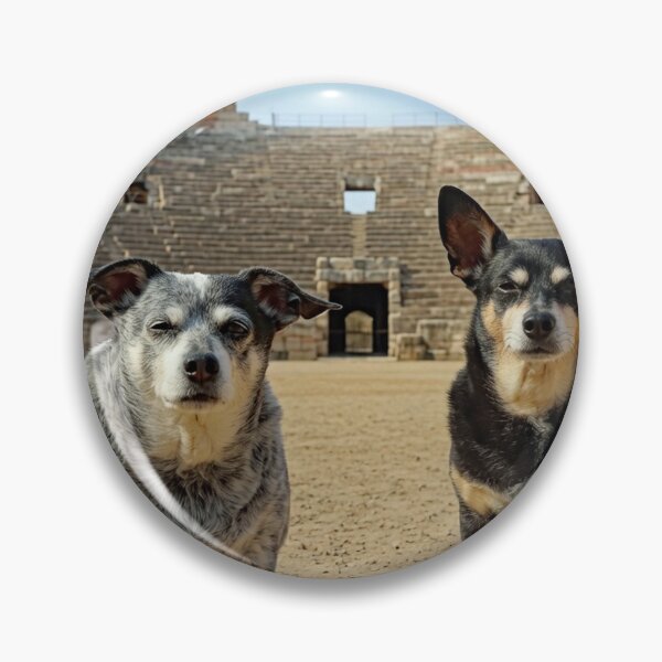 Item preview, Ori and Beez at the Arena di Verona designed and sold by kristana.