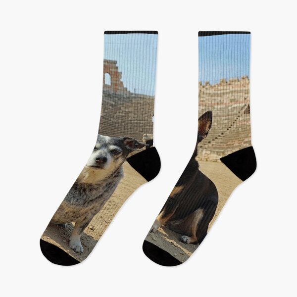 Item preview, Ori y Beez en la Arena de Verona designed and sold by kristana.