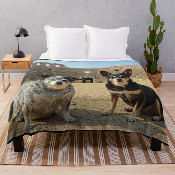 Item preview, Ori and Beez at the Arena di Verona designed and sold by kristana.