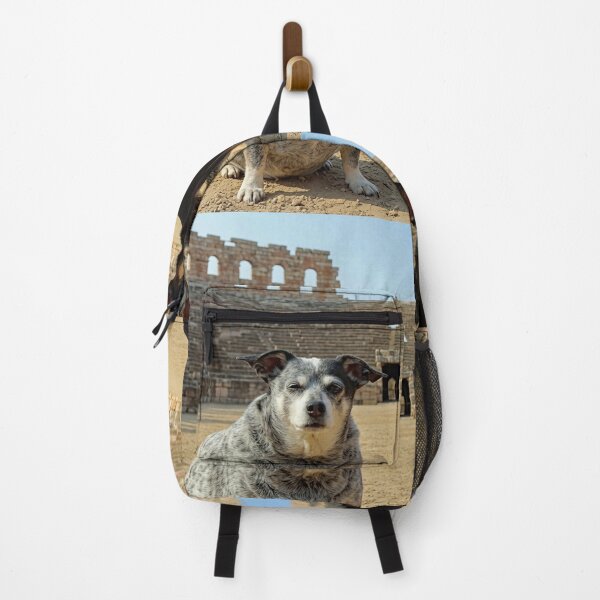 Item preview, Ori and Beez at the Arena di Verona designed and sold by kristana.