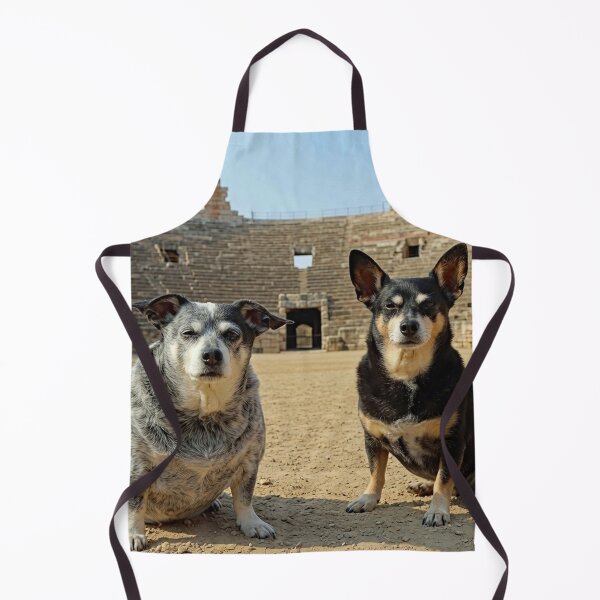 Item preview, Ori and Beez at the Arena di Verona designed and sold by kristana.