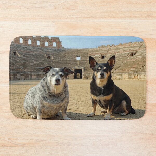 Item preview, Ori and Beez at the Arena di Verona designed and sold by kristana.