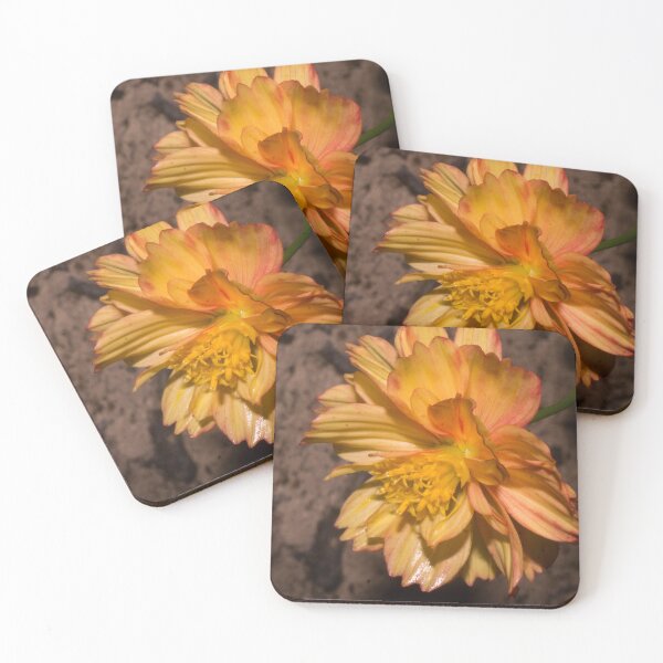 Item preview, Sulfur Cosmos 06 designed and sold by ROSE ANN BANILAR.