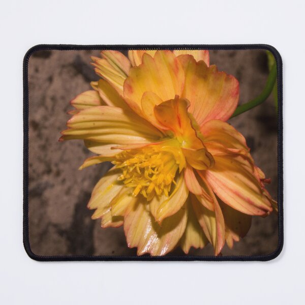 Item preview, Sulfur Cosmos 06 designed and sold by ROSE ANN BANILAR.