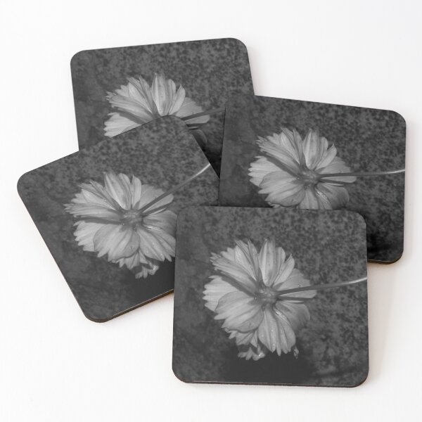 Item preview, B&W -  Sulfur Cosmos Behind designed and sold by ROSE ANN BANILAR.