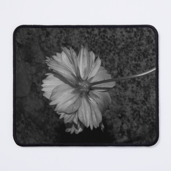 Item preview, B&W - Sulfur Cosmos Behind designed and sold by ROSE ANN BANILAR.