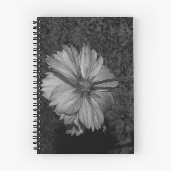 Item preview, B&W -  Sulfur Cosmos Behind designed and sold by ROSE ANN BANILAR.