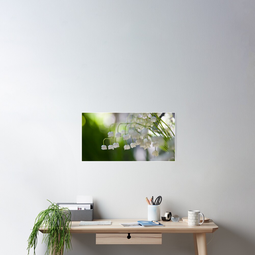 Lily of the valley panorama Poster