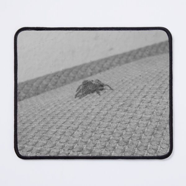 Item preview, B&W - Jumping Spider 04 designed and sold by ROSE ANN BANILAR.