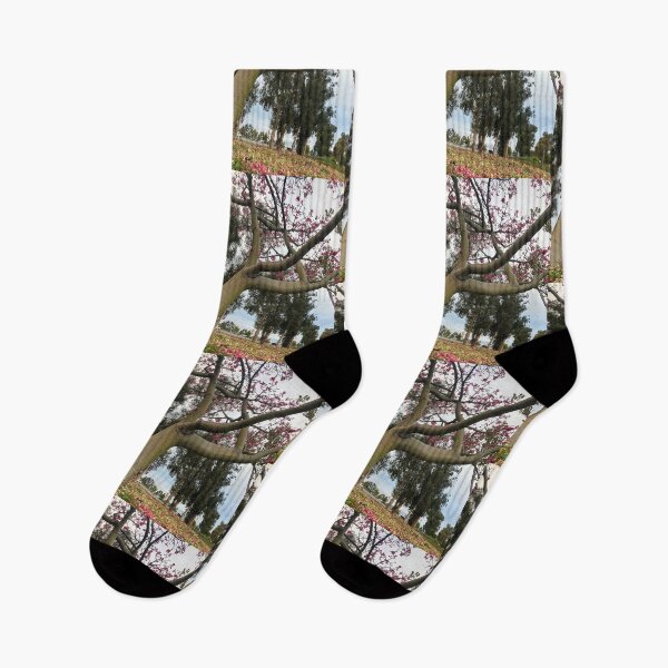 Item preview, "Silk Floss Tree" by SAY.SEE.BE designed and sold by SAY.SEE.BE.