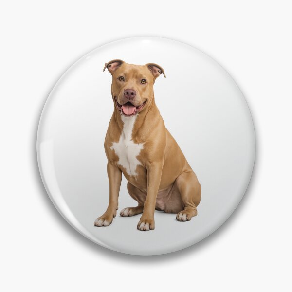 Aperçu de l'œuvre Chien American Staffordshire Terrier créée et vendue par BackgroundND.