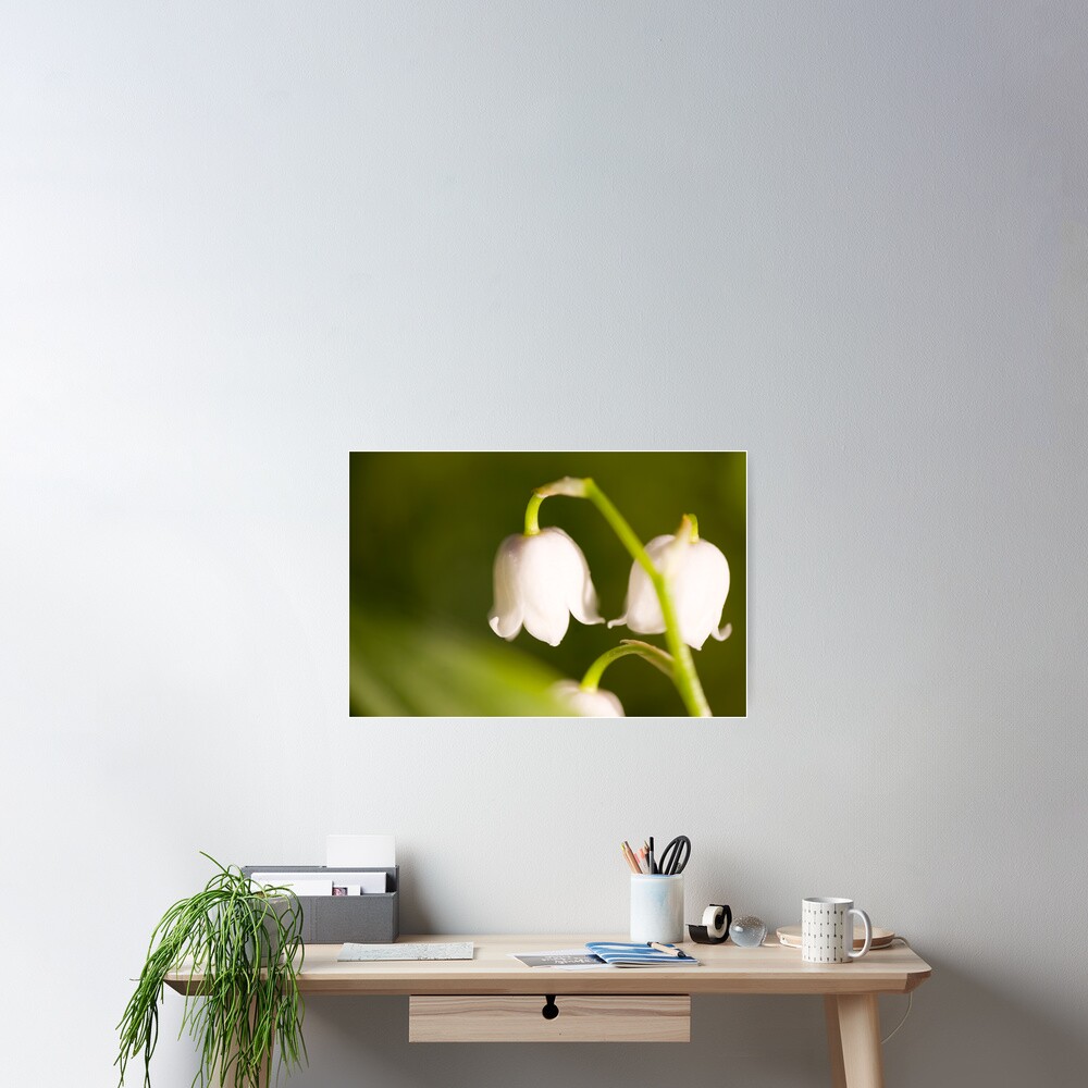 Lily of the valley closeup Poster