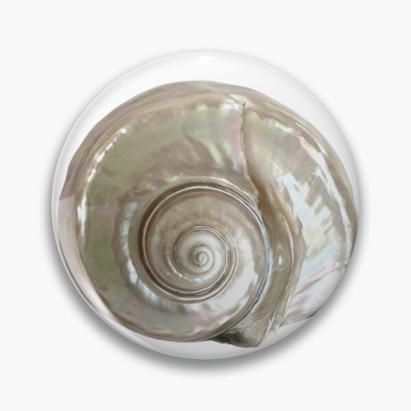 Item preview, cool seashell designed and sold by miaslove.