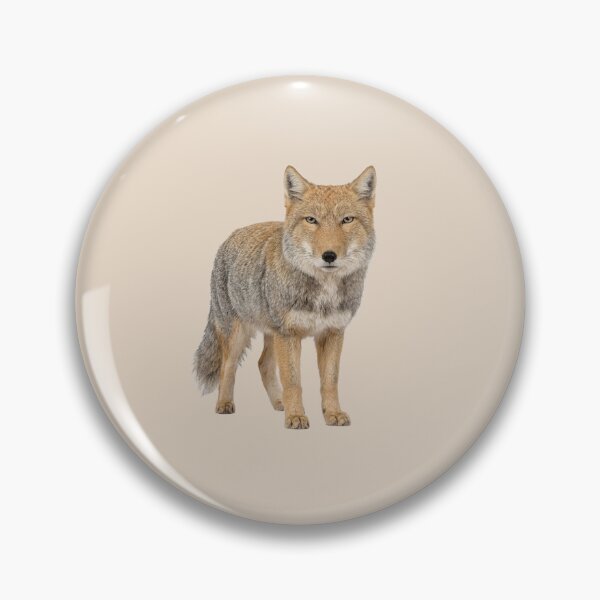 Item preview, Tibetan fox front view designed and sold by ArunDandiboina.
