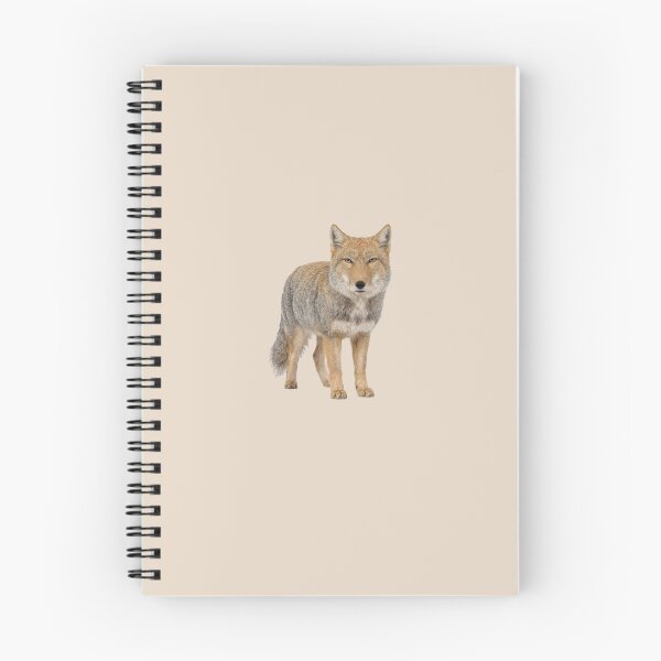 Item preview, Tibetan fox front view designed and sold by ArunDandiboina.