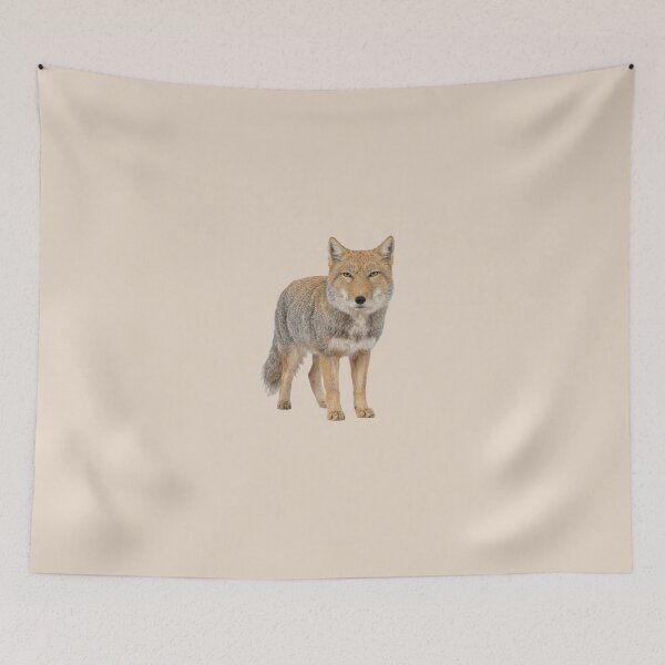 Item preview, Tibetan fox front view designed and sold by ArunDandiboina.