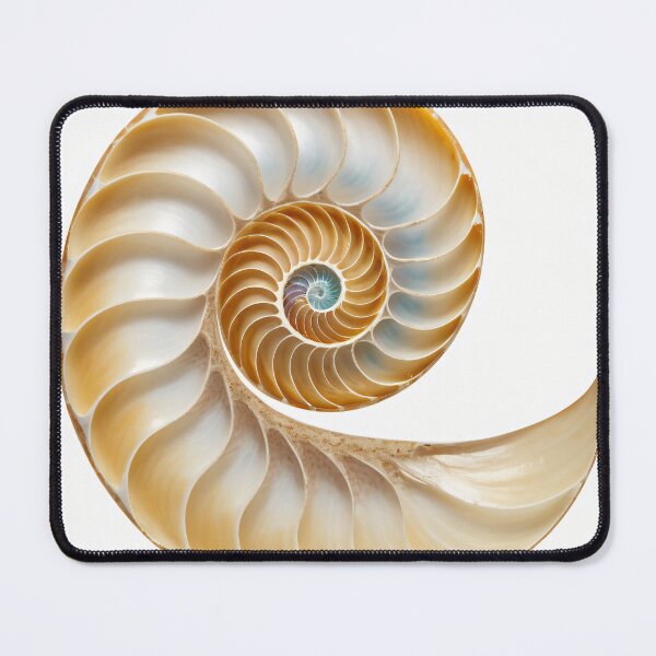 Item preview, Nautilus Shell Golden Ratio Art designed and sold by CrippiCrippi.