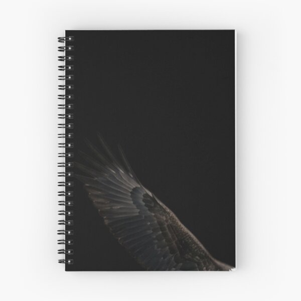 Item preview, A Bald Eagle flying over water searching for designed and sold by DeBrainstore.