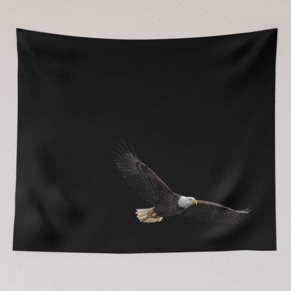 Item preview, A Bald Eagle flying over water searching for designed and sold by DeBrainstore.