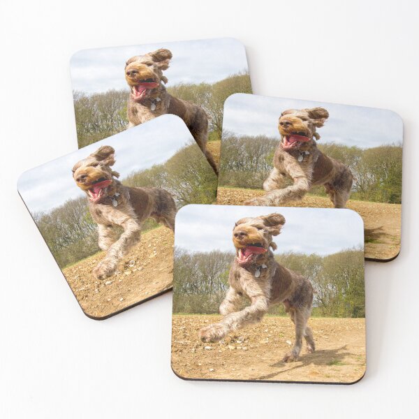 Item preview, Galloping with flying tongue Spinone designed and sold by FOLK ART FUSION by heidiannemorris.