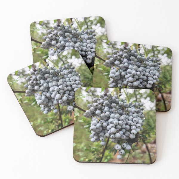 Item preview, Delicious Blue Elderberries designed and sold by mountaingoblingoods.