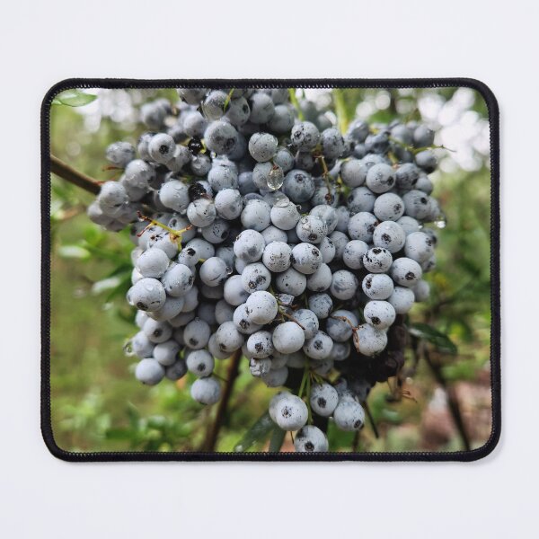 Item preview, Delicious Blue Elderberries designed and sold by mountaingoblingoods.