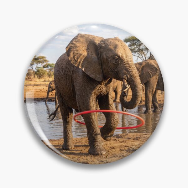 Item preview, Elephant Takes His Hula Hoop for a Spin designed and sold by Tridentulus.