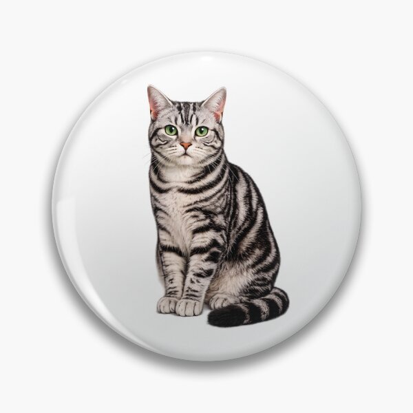 Aperçu de l'œuvre Chat américain à poil court créée et vendue par BackgroundND.