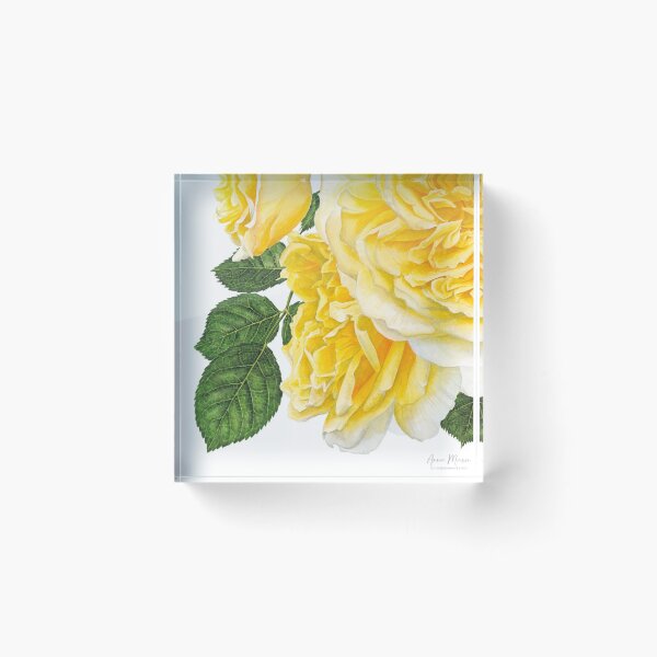 Item preview, Sweet Mercado Libre aYellow Moments designed and sold by Hashmiinyoga.