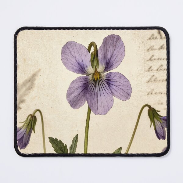 Item preview, Vintage Wild Violet Botanical Illustration - Viola Odorata Flower Art designed and sold by Darlin8888.
