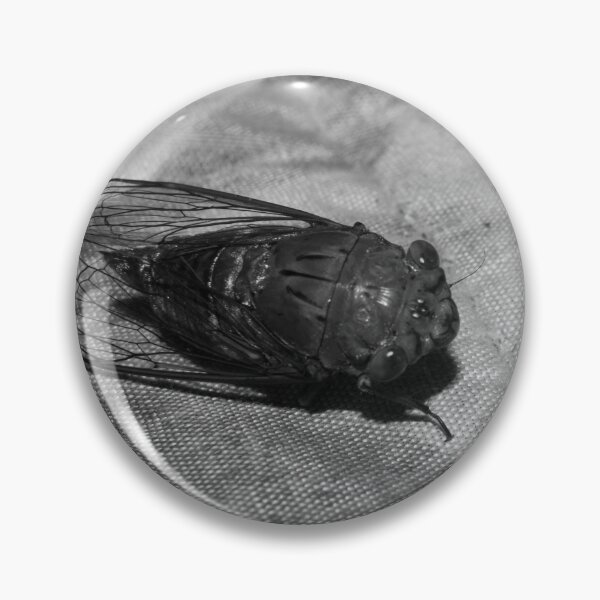 Item preview, B&W - Cicada designed and sold by ROSE ANN BANILAR.