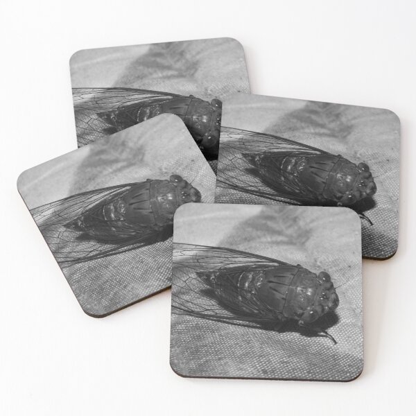 Item preview, B&W - Cicada designed and sold by ROSE ANN BANILAR.