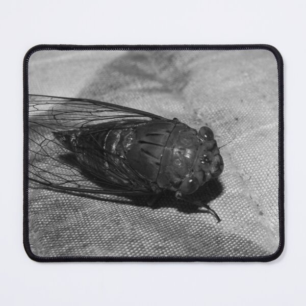 Item preview, B&W - Cicada designed and sold by ROSE ANN BANILAR.