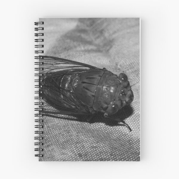 Item preview, B&W - Cicada designed and sold by ROSE ANN BANILAR.