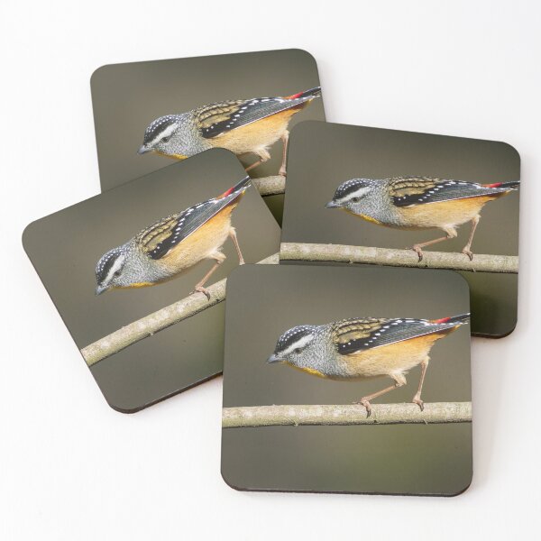 Item preview, Male Spotted Pardelote in afternoon sun light designed and sold by David  Hibberd.